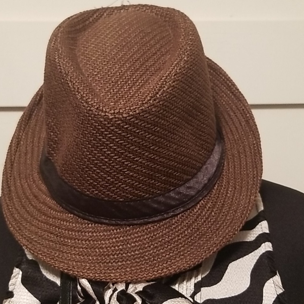 Brown Fedora Hat
